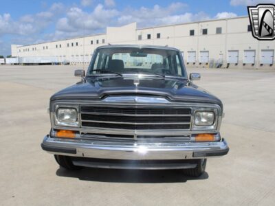 1989 Jeep Grand Wagoneer