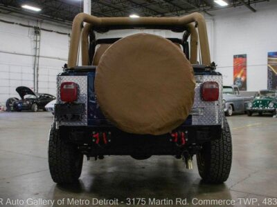 1995 Jeep Wrangler Rio Grande