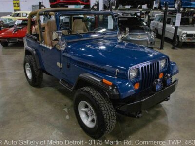 1995 Jeep Wrangler Rio Grande
