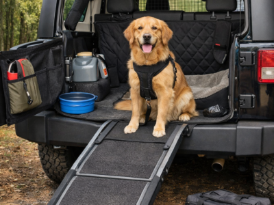 Jeep Dog Friendly Accessories: The Ultimate Guide for Traveling With Your Pup